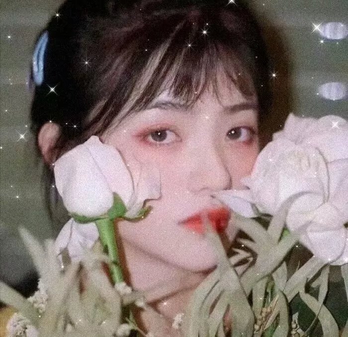 康定情歌