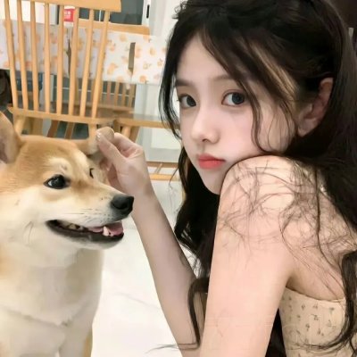 无声的证言第二十七季